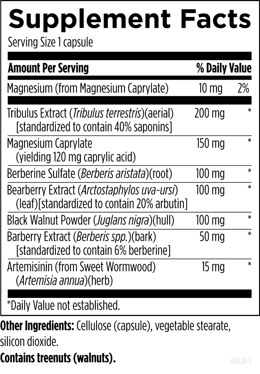 GI Microb-X™ - Image 2